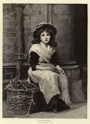Giroflées